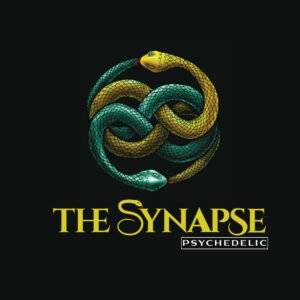 the-synapse